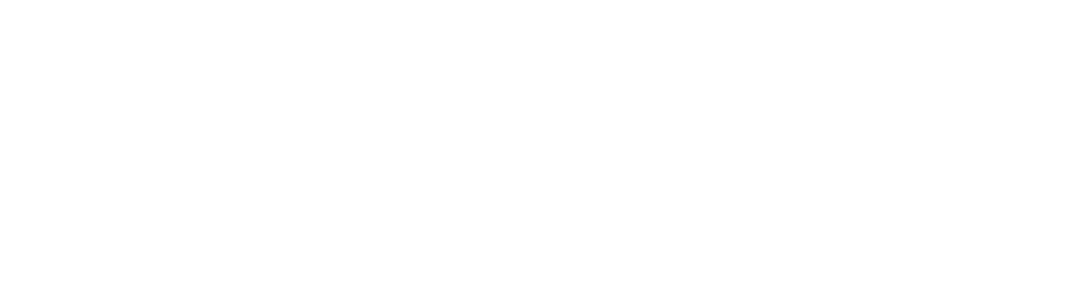 NAPA LABS